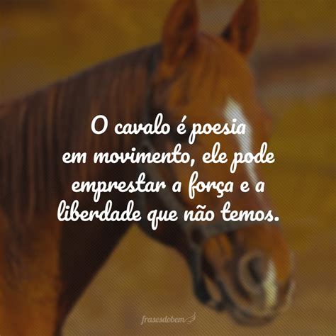 Frases Sobre O Cavalo - 5
