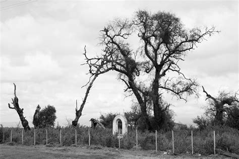 Russian+Bare+Naturist Photos, Download The BEST Free Russian+Bare