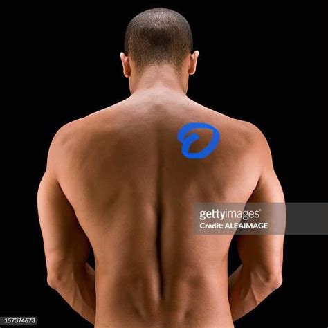 pain  upper shoulder rbackpain