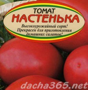 Томат Настенька: характеристика и описание сорта, фото, отзывы, урожайность