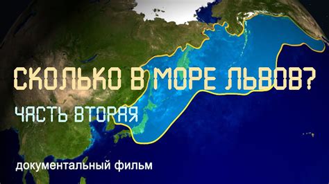 Дальний Восток. Охотское море. Морские львы. Морские котики. Nature of ...