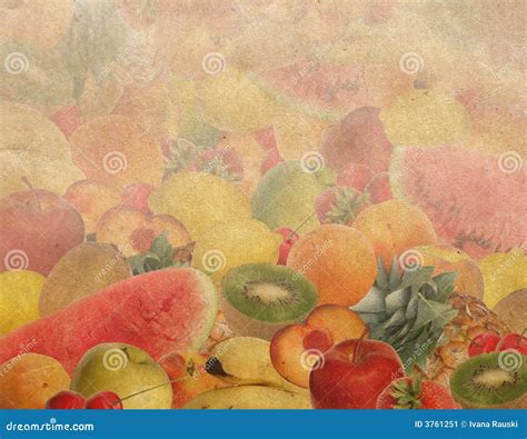 vintage fruit  picture image