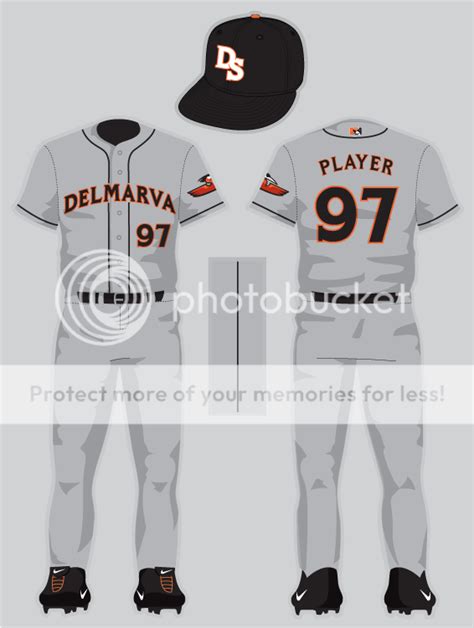 Delmarva Shorebirds - Concepts - Chris Creamer's Sports Logos Community ...