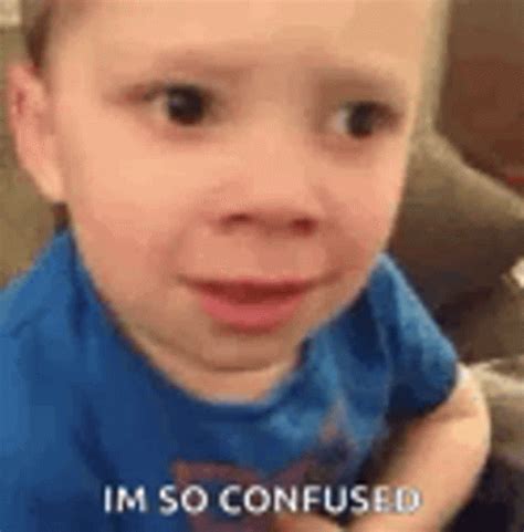 confused meme    gif gif gifdbcom