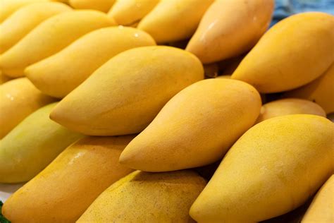 Mango – Good Harvest