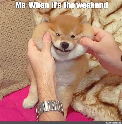 Create meme "Shiba inu (mini Akita inu, a "Hachiko), Shiba inu with a ...
