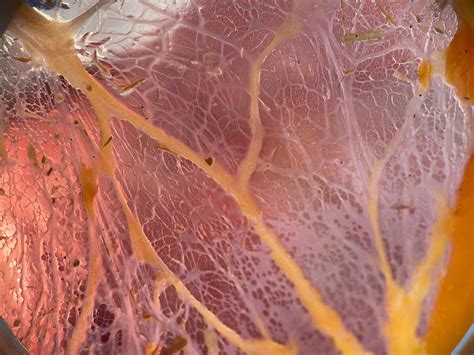 Scientists explain why we use an 85 x11 piece of paper 1