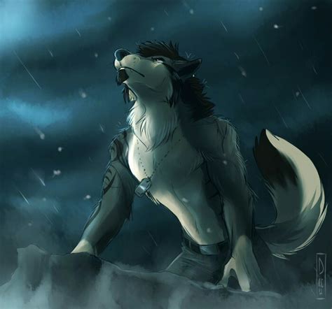 Волки | Wiki | 🐾🐺Род Волков🐺🐾 Amino