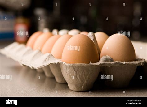 dozen eggs  carton stock photo alamy