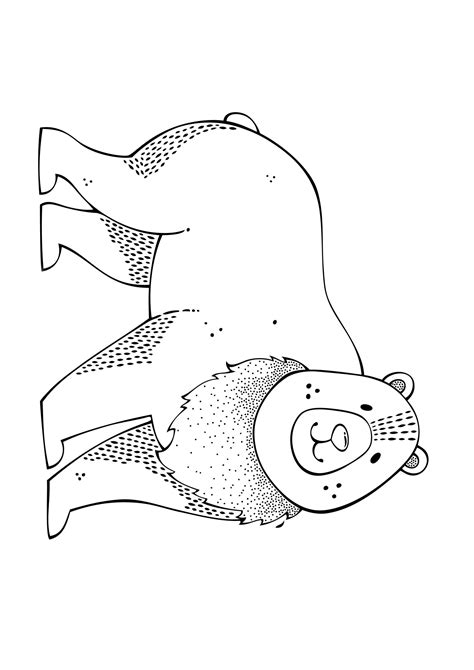 lesne zwierzeta kolorowanka cudciociapl