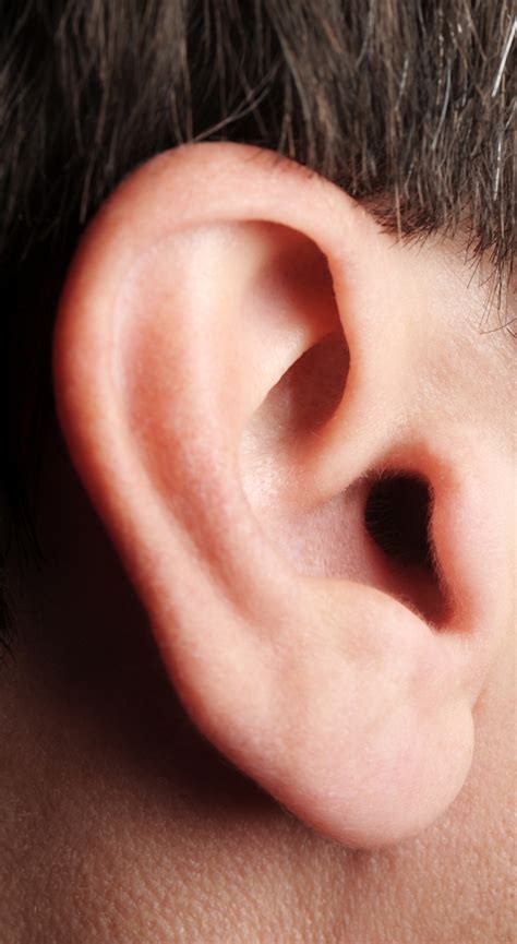 Ear Surgery