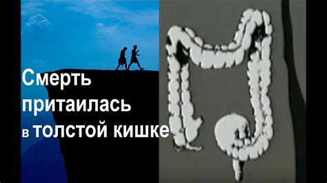 Что происходит в толстой кишке - YouTube