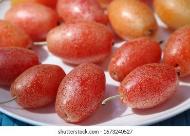 185 imágenes de Sikkim fruits - Imágenes, fotos y vectores de stock ...