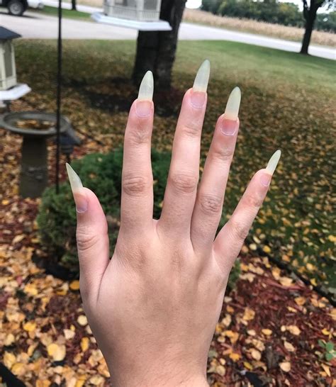 Pin by Hailey Huyard on nails | Long natural nails, Natural nails, Long ...