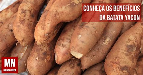 Para Que Serve A Batata Yacon - Quais Beneficios Da Batata Yacon - RETOEDU
