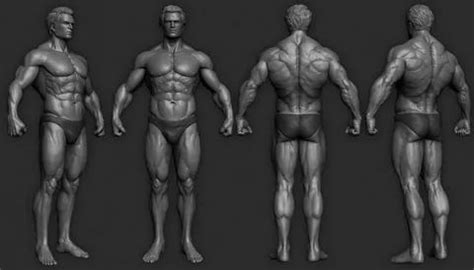 референс это: 6 тыс изображений найдено в Яндекс.Картинках | Art poses ...