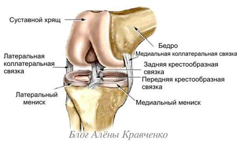Как снять воспаление суставов при артрите и боль. Лекарства и народные ...
