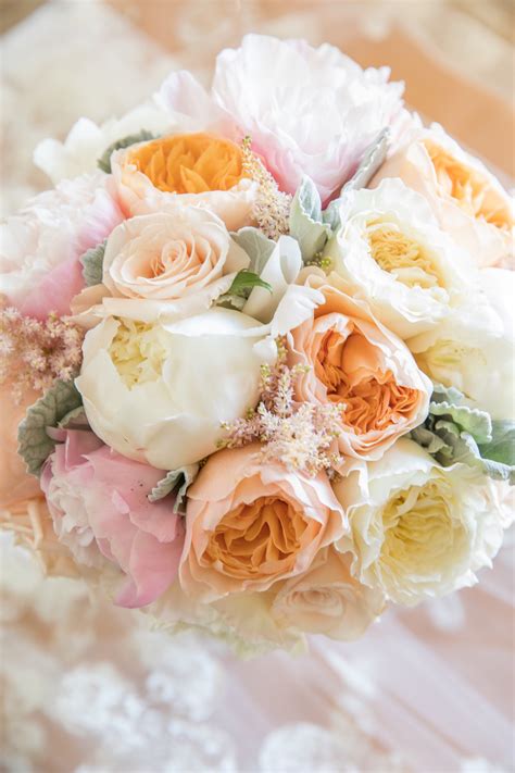 Contact — Honorary Bridesmaid