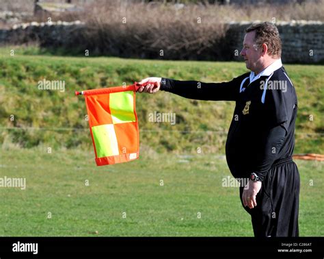 Linesman, football linesman, referee's assistant Stock Photo: 35830672 ...