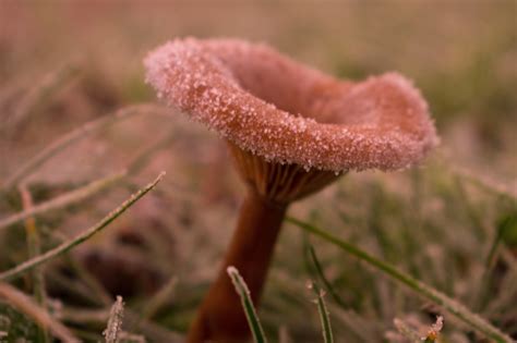 Winter Cold Gel - Free photo on Pixabay - Pixabay
