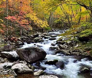 Great Smoky Mountains National Park (Best Honeymoon Destinations In USA)