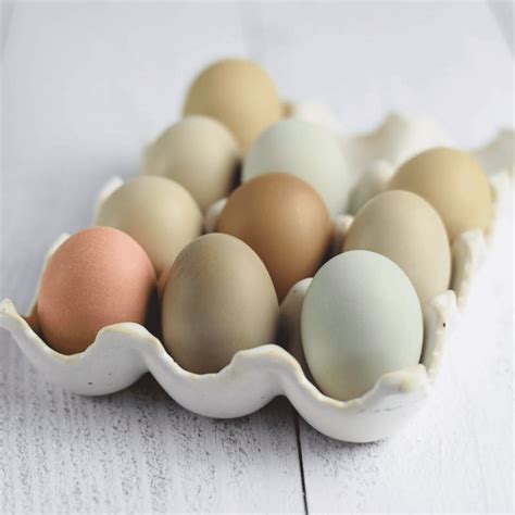 refrigerate boiled eggs dyhz