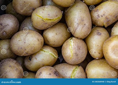 photography  theme large beautiful baked plain potato stock photo