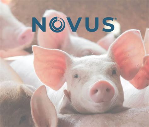 NOVUS International Unveils New Global Headquarters Focused on the Future