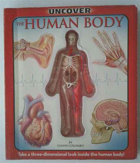 Uncover the Human Body: An Uncover It Book: Luann Colombo, Jennifer