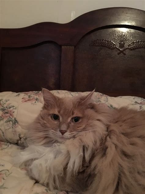 R.E - We would like to extend our deepest sympathy to the family and