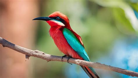 Top 15 Types Of Exotic Birds (With Pictures) - Fly Aviary