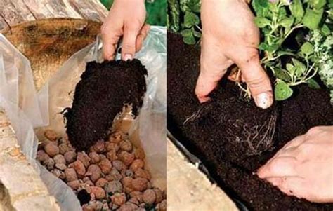 Невероятно красивая грядка из старого бревна — оригинальное украшение ...