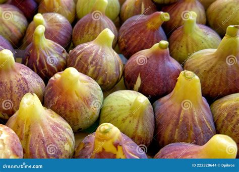 figs  sale canada  susan cochrane blog