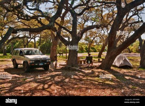 Camping under live oaks at Goose Island State Park, Gulf Coast, Texas, USA Stock Photo - Alamy