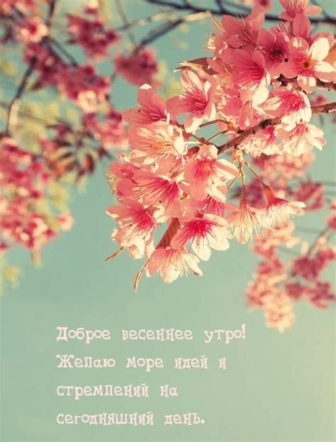 Весна с добрым утром красивые картинки