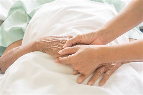 Components Of End Of Life Care at Warren Brooks blog