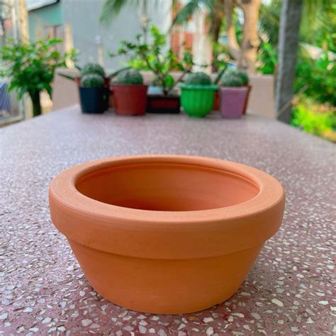 chau dat nung cam  shopee viet nam