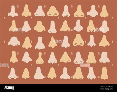 understanding images human nose shape  climate