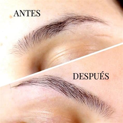 Sacar la cejas | Makeup