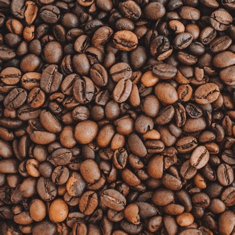 arabica coffee cooperativa dos suinocultores ltda