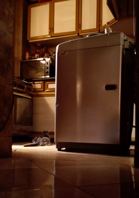 Testing new pro mode settings with the OPPO A78 4G!- Mount-