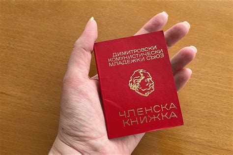 "Ти летиш като сокол, Комсомол." Тежката артилерия на пропагандата сред ...