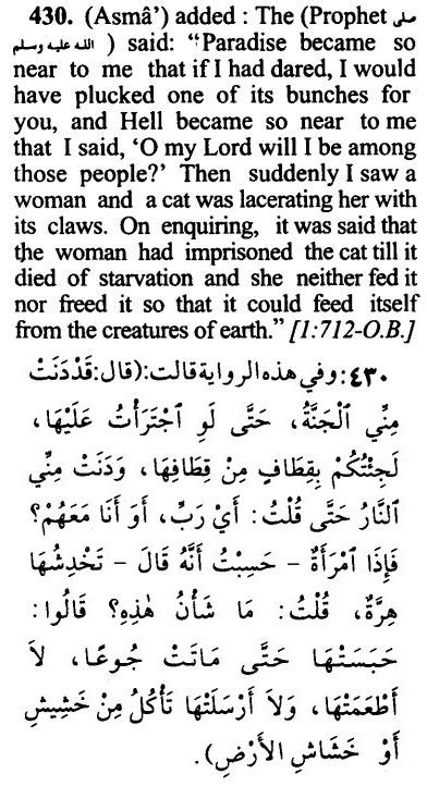 Hadith on kindness to animals – Sahih Bukhari | IqraSense.com