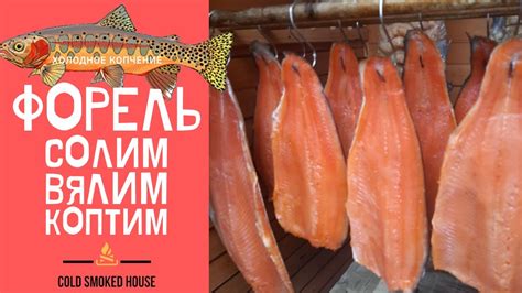 Рыба холодного копчения. Разделка и засолка форели. Дымогенератор и ...