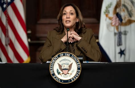 Kamala Harris faces racial 'DEI' attacks amid campaign for the 2024