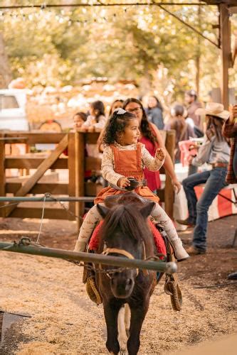 Gallery | Live Oak Canyon Pumpkin Patch & Christmas Tree Farm, Redlands ...