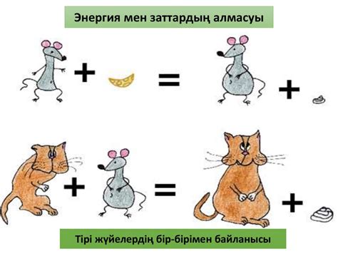 Метаболизм түрлері - презентация онлайн