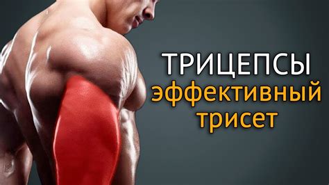 Как накачать трицепс: упражнения на трицепс с гантелями - Your Body Mind