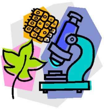 Ruang Lingkup Biologi, Permasalahan Biologi, Cabang-cabang Biologi ...