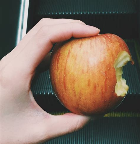 The Bite that Changed the World